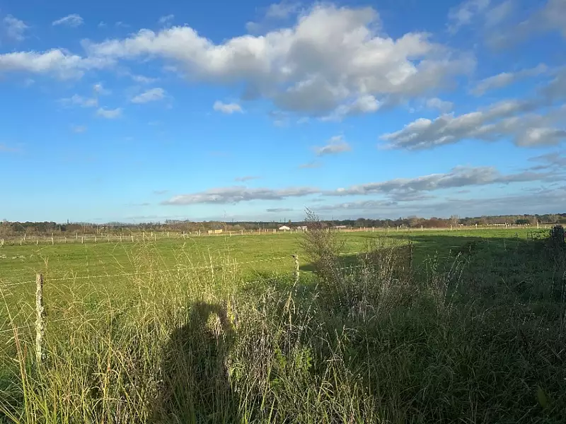 Terrain à bâtir, 5 600 m² - Saint-Christoly-de-Blaye (33920)