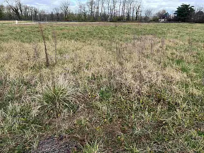 Terrain à bâtir, 1 299 m²