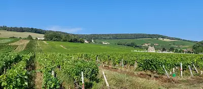 Maison neuve, 120 m²