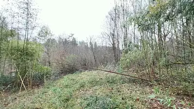 Maison neuve, 90 m²