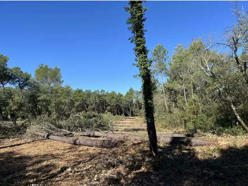 Terrain à bâtir, 344 m² - Suze-la-Rousse (26790)