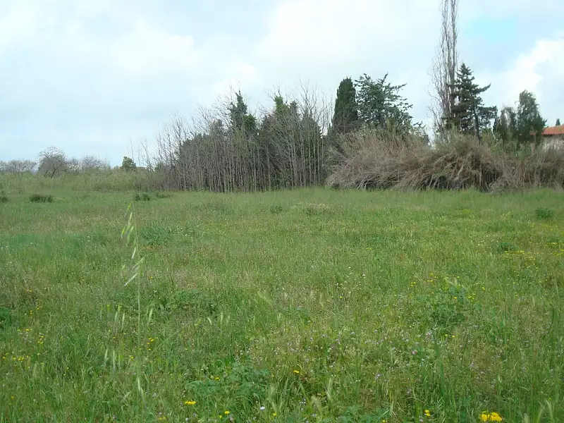 Maison neuve, 50 m² - Théza (66200)