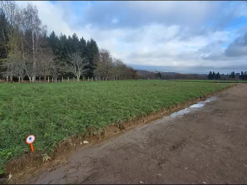 Terrain à bâtir, 880 m² - Le Palais-sur-Vienne (87410)