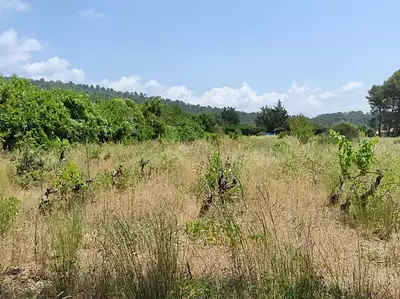 Terrain à bâtir, 1 180 m²