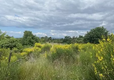 Terrain à bâtir, 3 606 m²