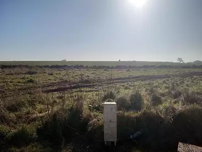 Terrain à bâtir, 350 m²