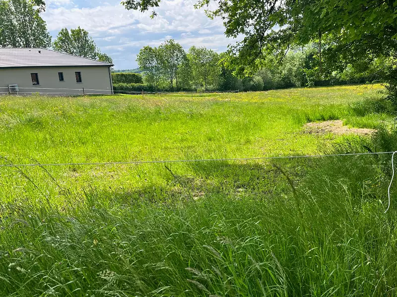 Terrain à bâtir, 1 600 m² - Jussac (15250)