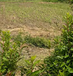 Maison neuve, 122 m²