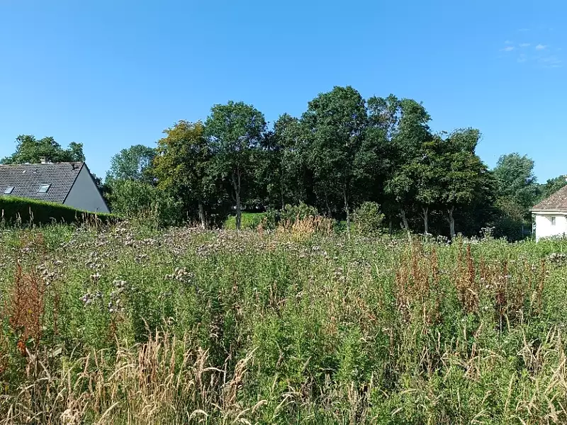 Terrain à bâtir, 1 145 m² - Ingouville (76460)