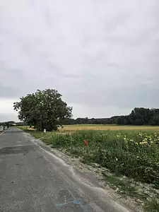 Maison neuve, 99 m²