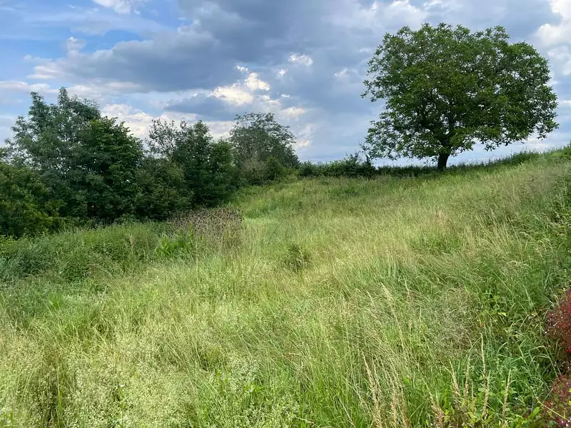 Terrain à bâtir, 686 m² - Pierreclos (71960)
