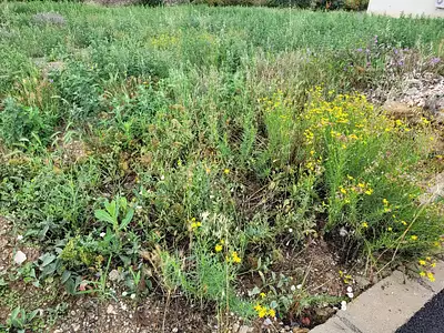 Terrain à bâtir, 491 m²