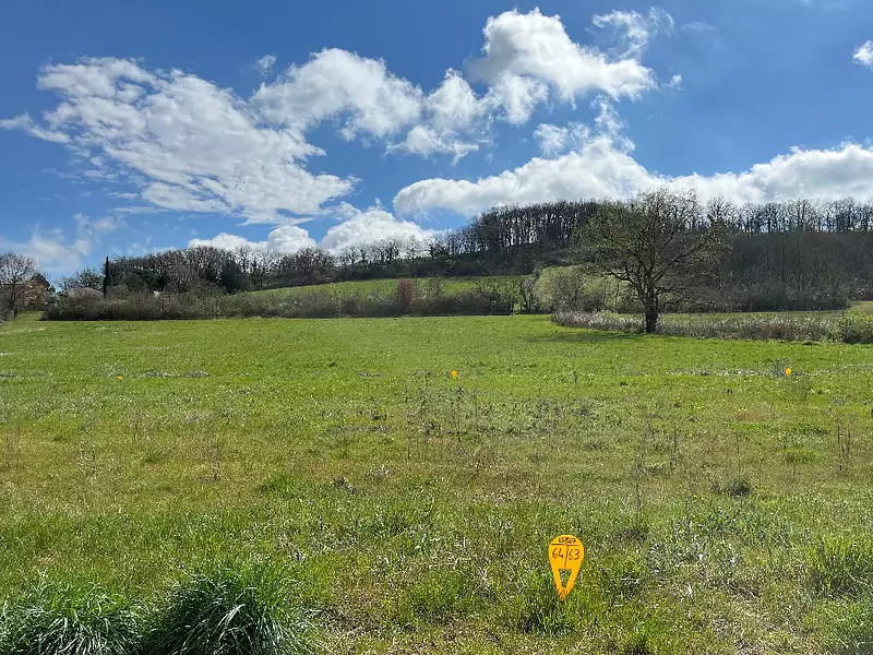 Terrain à bâtir, 263 m² - Le Sequestre (81990)