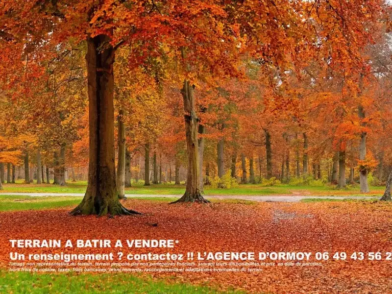 Terrain à bâtir, 1 003 m² - Mennecy (91540)