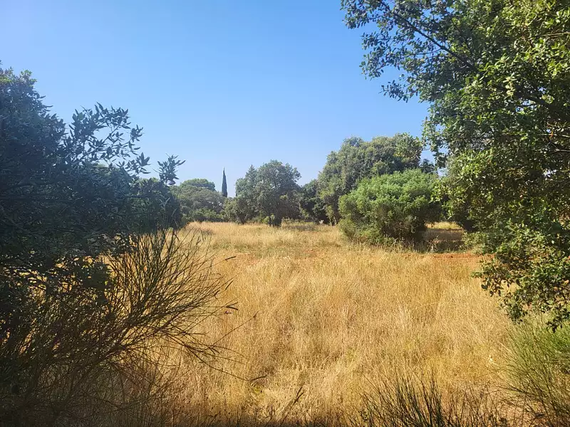 Terrain à bâtir, 300 m² - Saint-Siffret (30700)