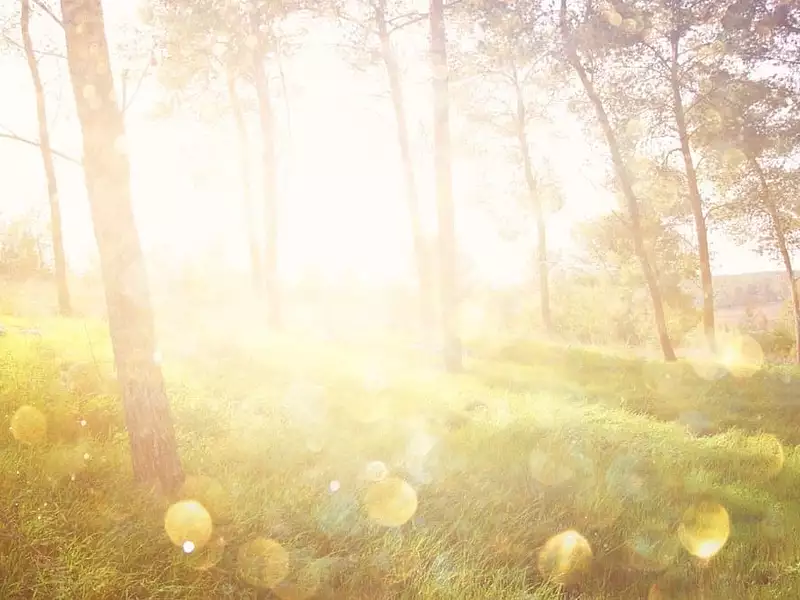 Maison neuve, 110 m² - Châtelaillon-Plage (17340)