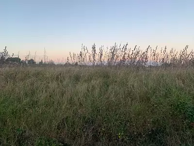 Terrain à bâtir, 1 600 m²