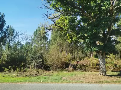 Maison neuve, 85 m²