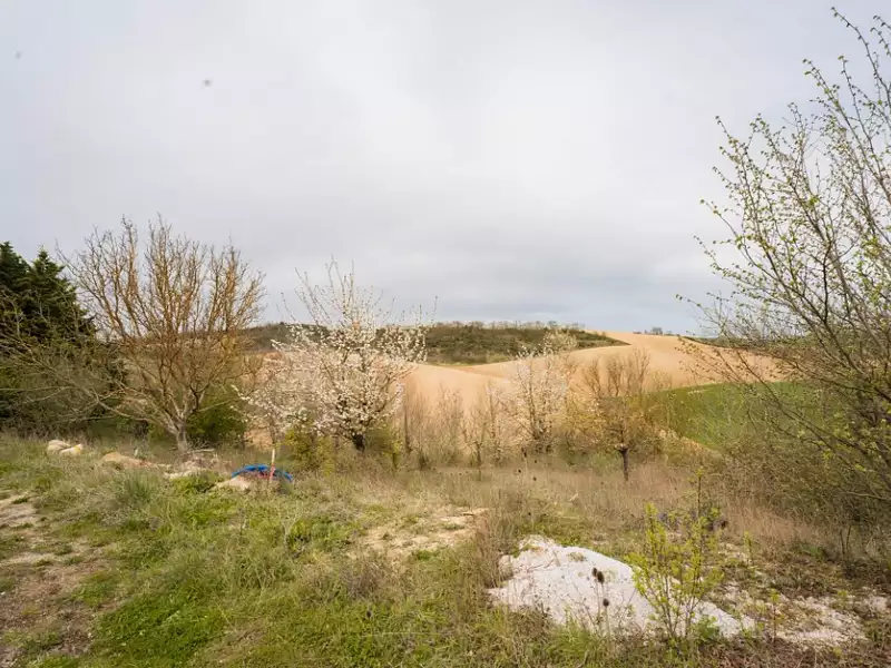 Maison neuve, 95 m² - Avignonet-Lauragais (31290)