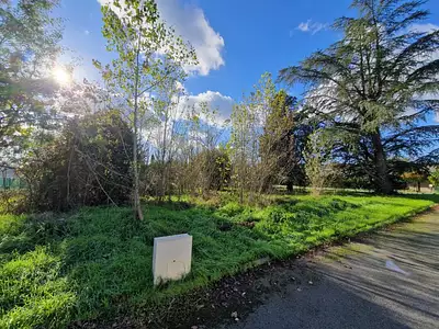 Maison neuve, 90 m²