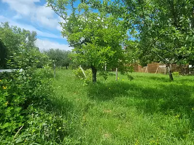 Terrain à bâtir, 1 290 m²