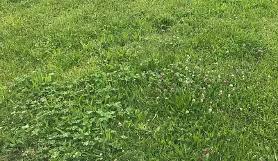 Maison neuve, 88 m²