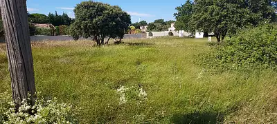 Maison neuve, 95 m²