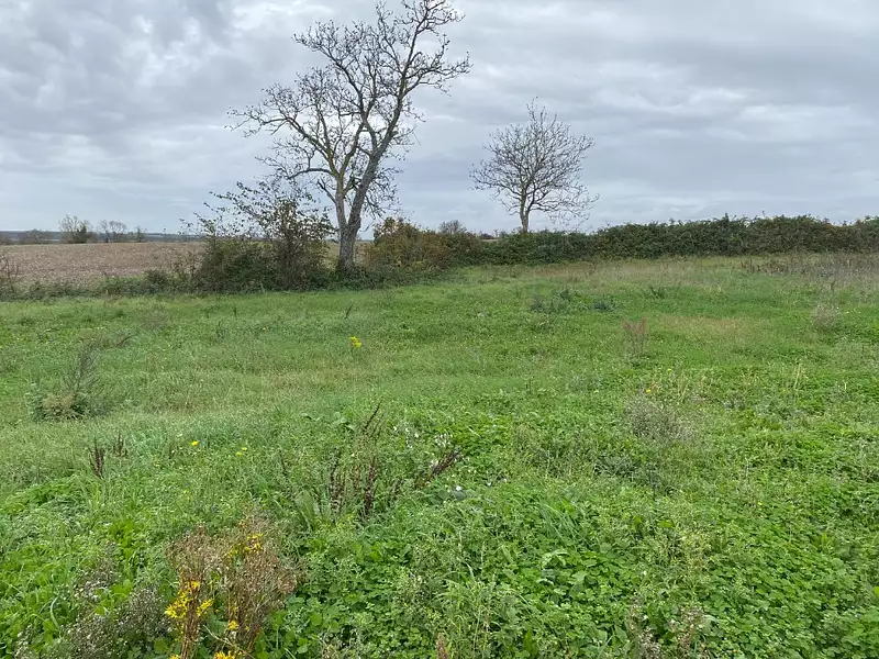 Maison neuve, 69 m² - Le Thou (17290)