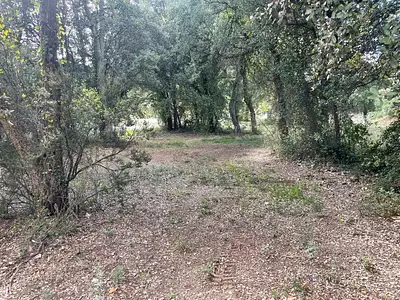 Terrain à bâtir, 806 m²