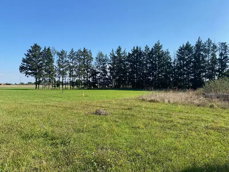 Maison neuve, 102 m² - Saint-Rémy-en-Rollat (03110)