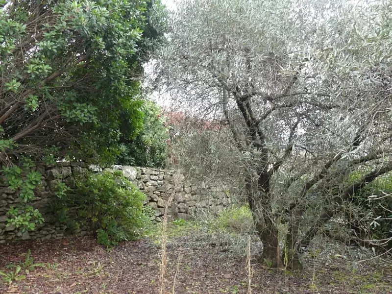 Maison neuve, 85 m² - Goudargues (30630)