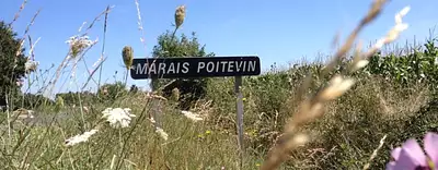 Maison neuve, 100 m²