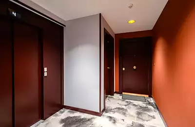 Jardin des Lumières