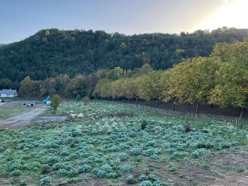 Terrain à bâtir, 657 m² - Saint-Etienne-le-Laus (05130)