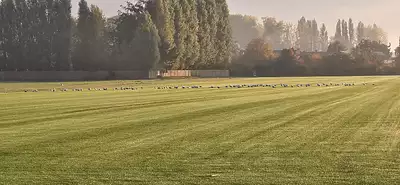 Terrain à bâtir, 500 m²