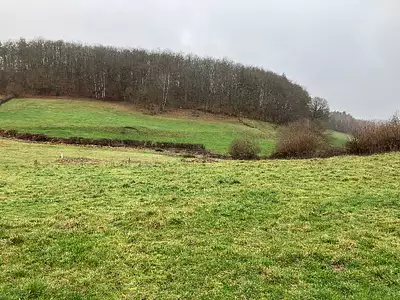 Terrain à bâtir, 1 683 m²