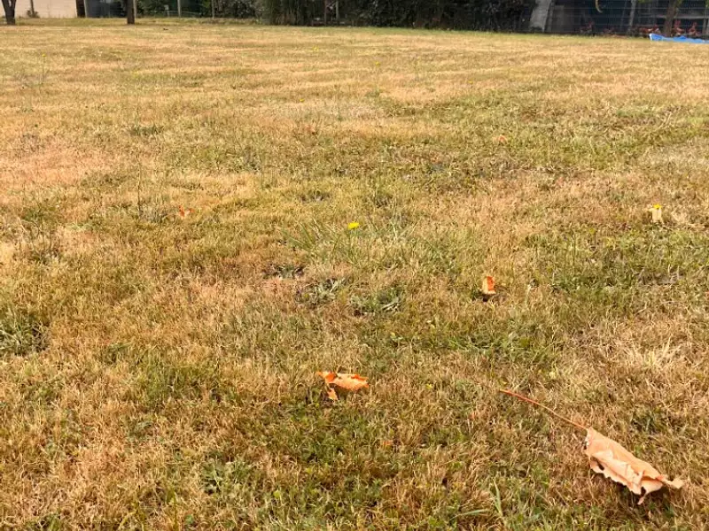 Terrain à bâtir, 708 m² - Créon (33670)