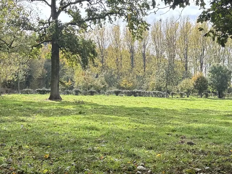 Terrain à bâtir, 1 191 m² - Averdoingt (62127)