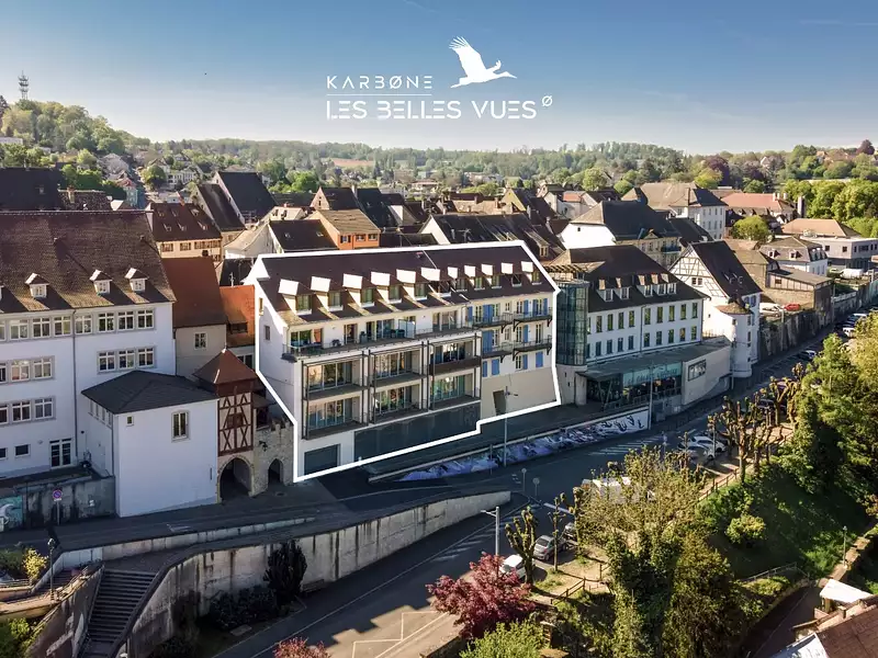 À SAISIR : DERNIERS LOTS > REMISES EXCEPTIONNELLES - Altkirch (68130)