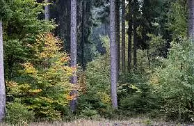 Maison neuve, 75 m²