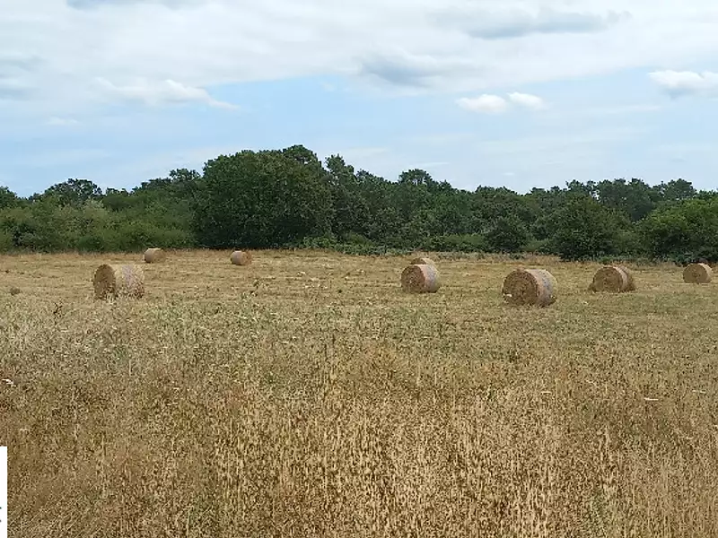 Terrain à bâtir, 1 400 m² - Eygurande-et-Gardedeuil (24700)