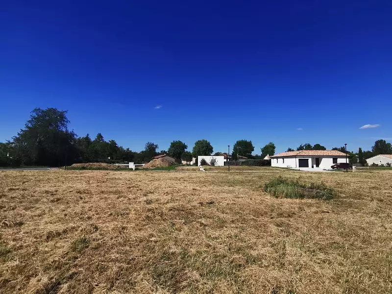 Terrain à bâtir, 655 m² - Damiatte (81220)