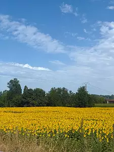 Maison neuve, 104 m²