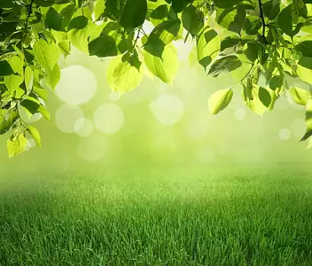 Terrain à bâtir, 330 m²