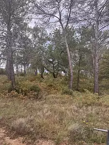 Terrain à bâtir, 352 m²