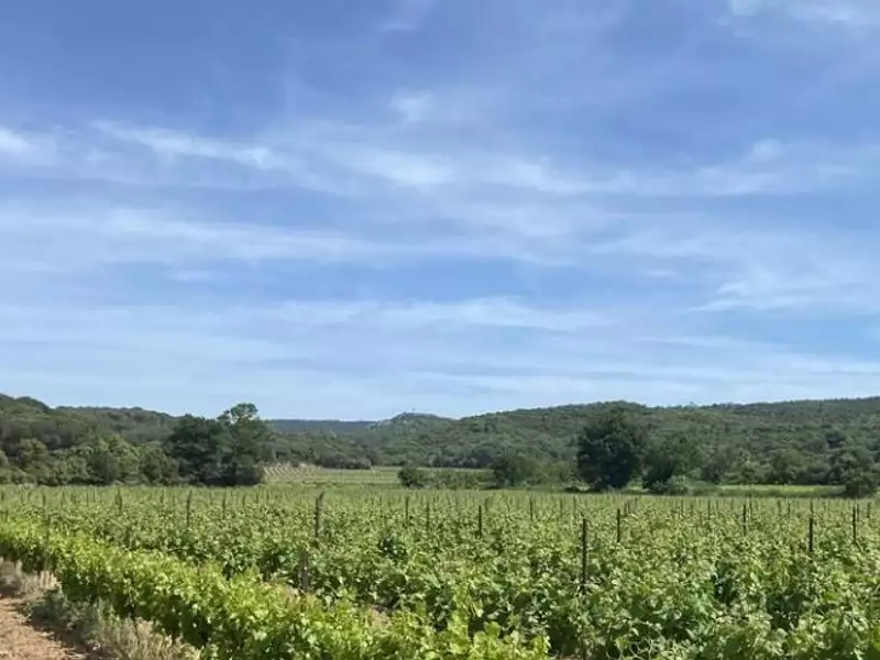 Terrain à bâtir, 1 400 m² - Lézignan-Corbières (11200)