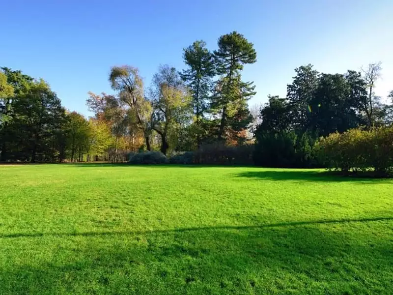Maison neuve, 90 m² - Saint-Germain-du-Puch (33750)