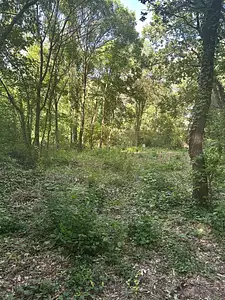 Terrain à bâtir, 610 m²