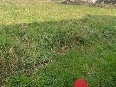 Maison neuve, 77 m²