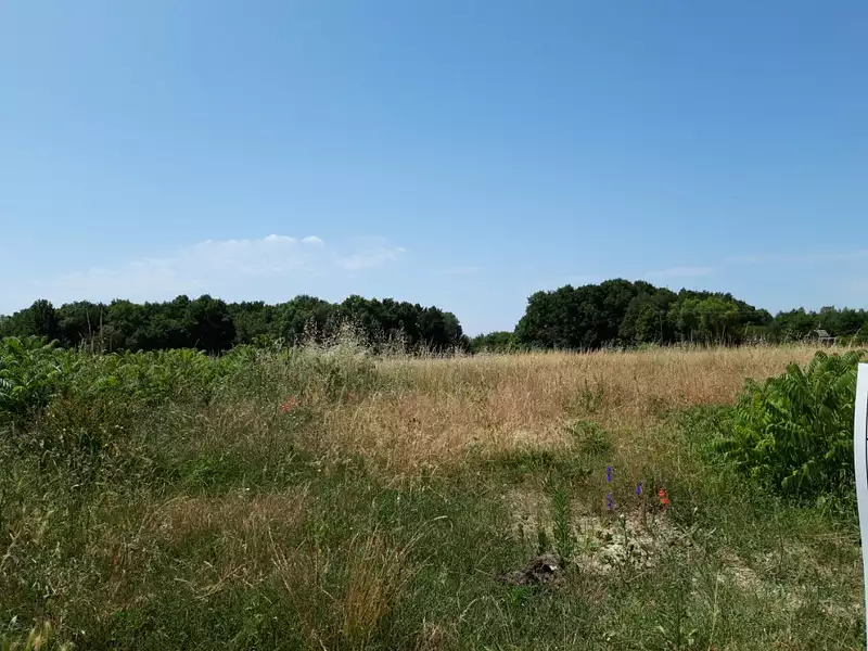 Terrain à bâtir, 750 m² - Cinq-Mars-la-Pile (37130)
